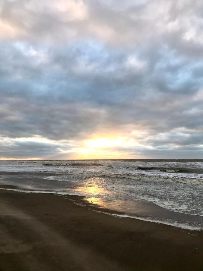 Hippocampus Aan Zee Katwijk aan Zee Exterior foto